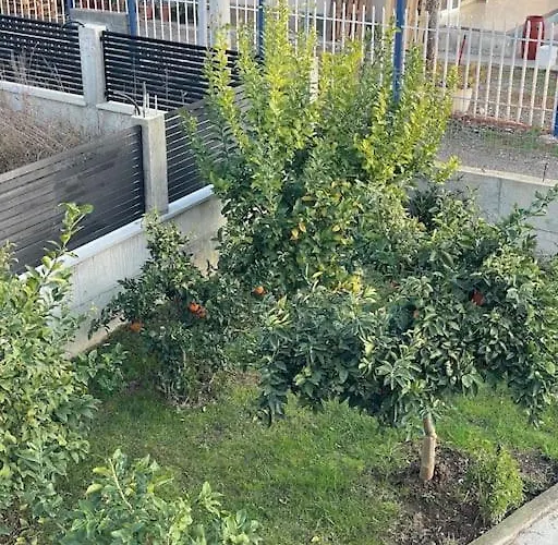 Comfortable And Luxurious Apartamento *